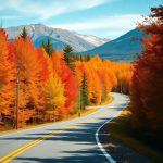 Fall Foliage Scenic Drives to Experience Across the U.S.