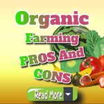 Organic Farming: Key Pros and Cons You Should Know