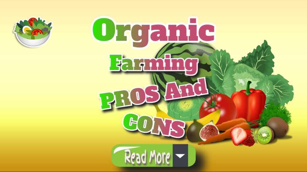 Organic Farming: Key Pros and Cons You Should Know