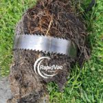 Vac Trucks Clear Blocked Drains Caused by Tree Roots