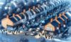 House Clearance Costs in the UK: Your Essential Guide to Negotiation