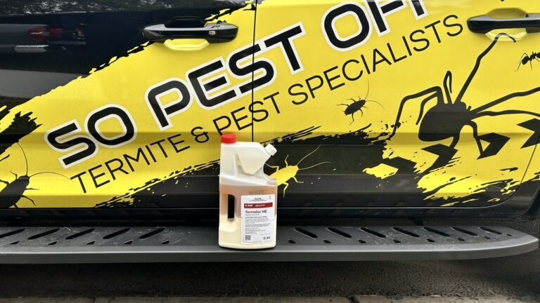 Termite Reticulation Costs and Sydney Maintenance Guide