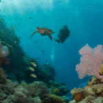 Belize Barrier Reef: The Ultimate Diving and Snorkeling Spot 2025
