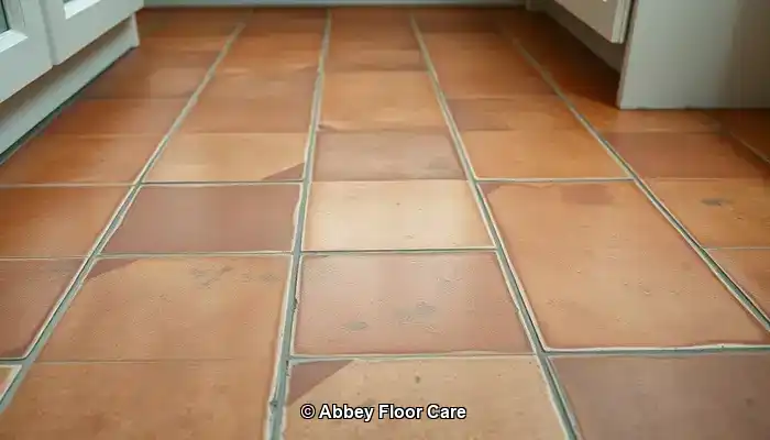 Identifying the Causes of Rapid Dirt Build-Up on Terracotta Floors