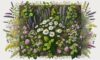 Herbal Remedies: An Essential Guide for the UK