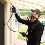 Roof Dusting Pest Control: Understanding Its Uncommon Necessity