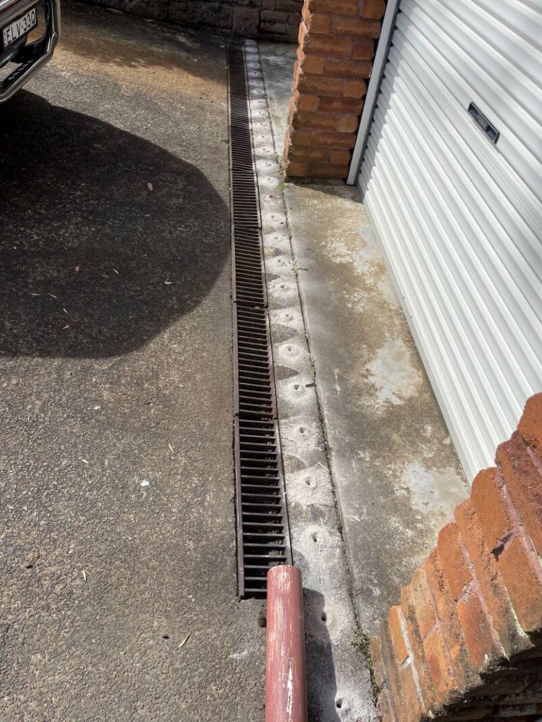 Termite Protection: Identifying Your Home’s Coverage Options