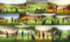 Golf Lessons in South Africa: Your Essential Choosing Guide